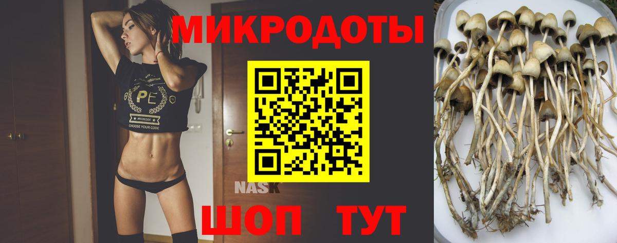 Галлюциногенные грибы Cubensis  Псилоцибиновые грибы Psilocybine cubensis  Вход с VPN  Фролово 